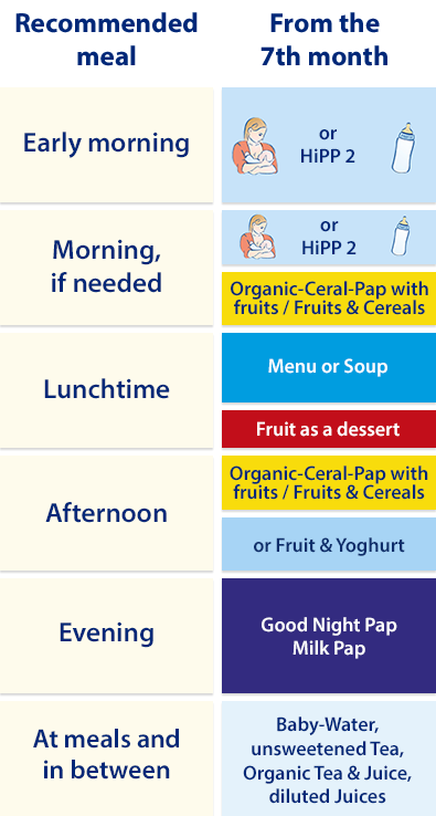 Diet Chart From Morning To Night